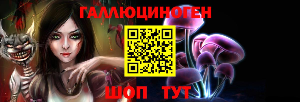 Галлюциногенные грибы Psilocybine cubensis  Вход с VPN  Ейск 